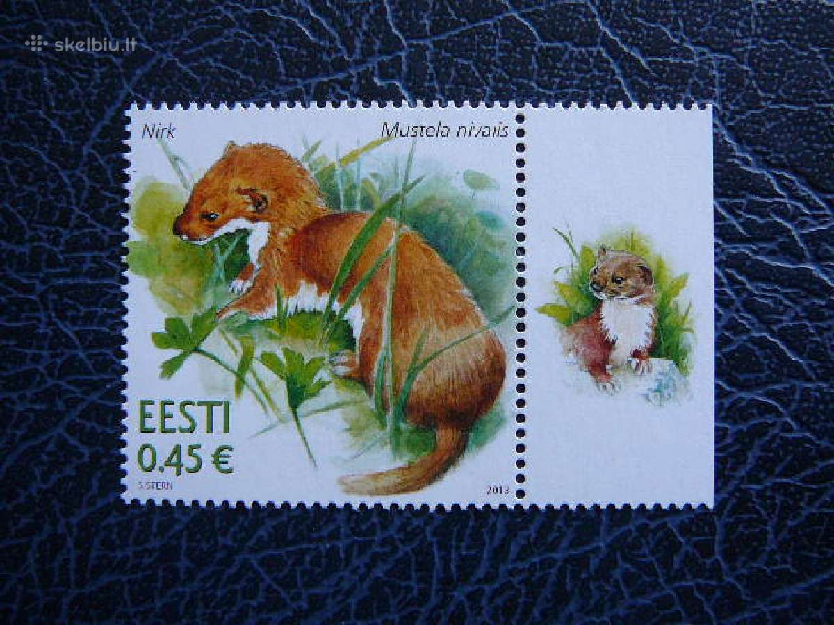 Estija 2013 Zebenkštis Zverys Mnh est767