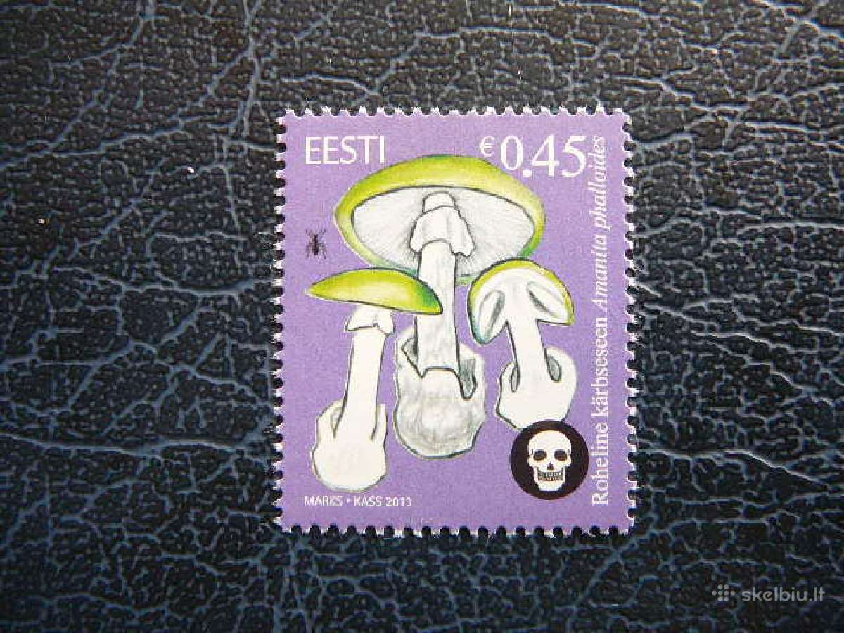 Estija 2013 Grybai Mnh est772