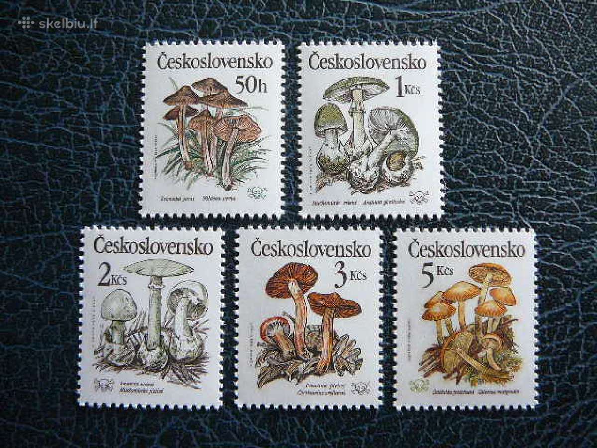 Grybai Cekoslovakija 1989 Mnh ck3017