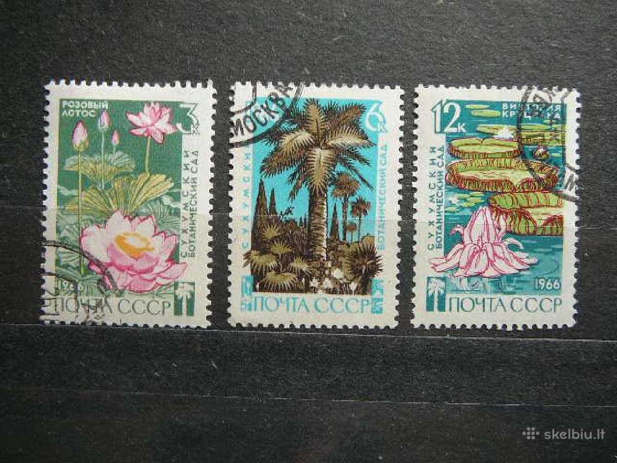 Ssr 1966 Geles Flora antsp. a3235