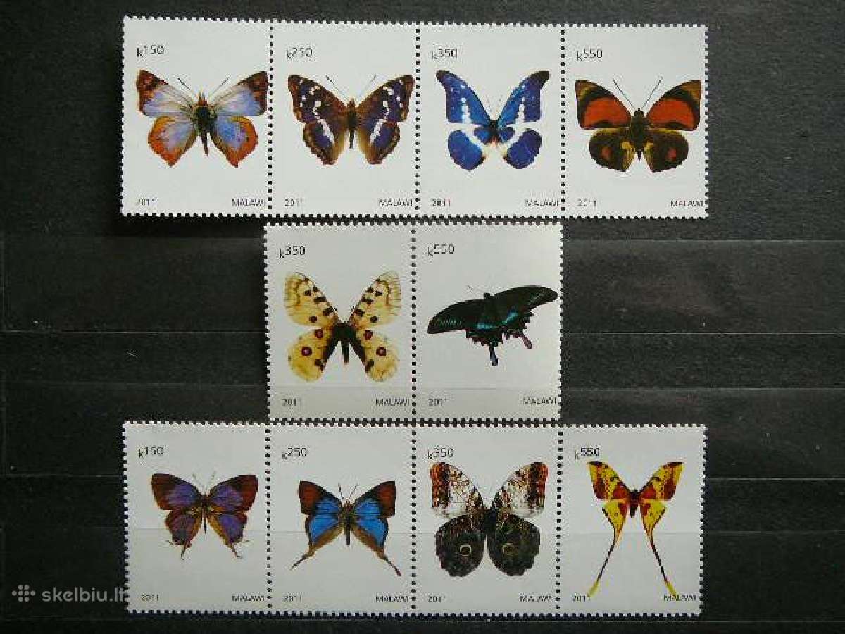 Drugeliai Malavis 2011 svarus mlw12