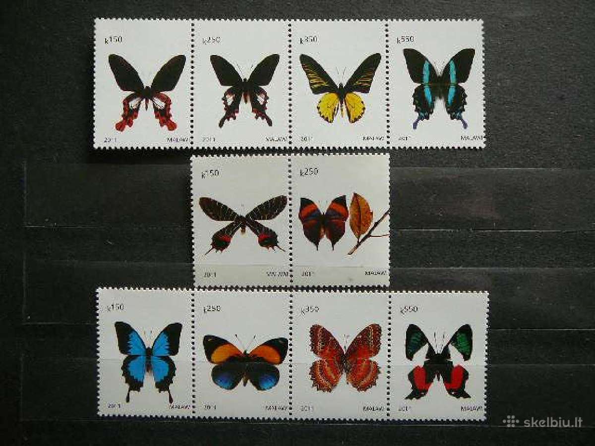Drugeliai Malavis 2011 svarus mlw13