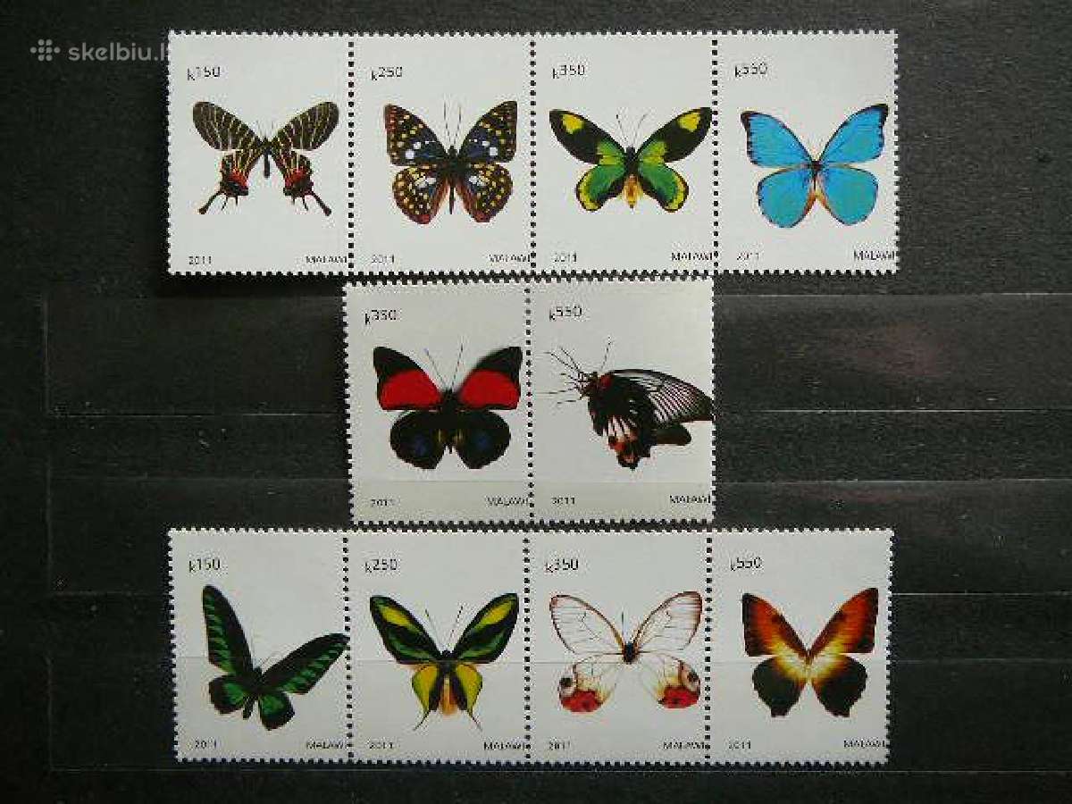 Drugeliai Malavis 2011 svarus mlw14