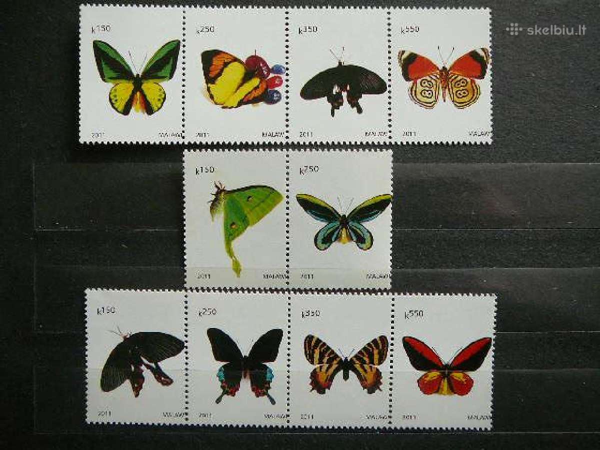 Drugeliai Malavis 2011 svarus mlw15