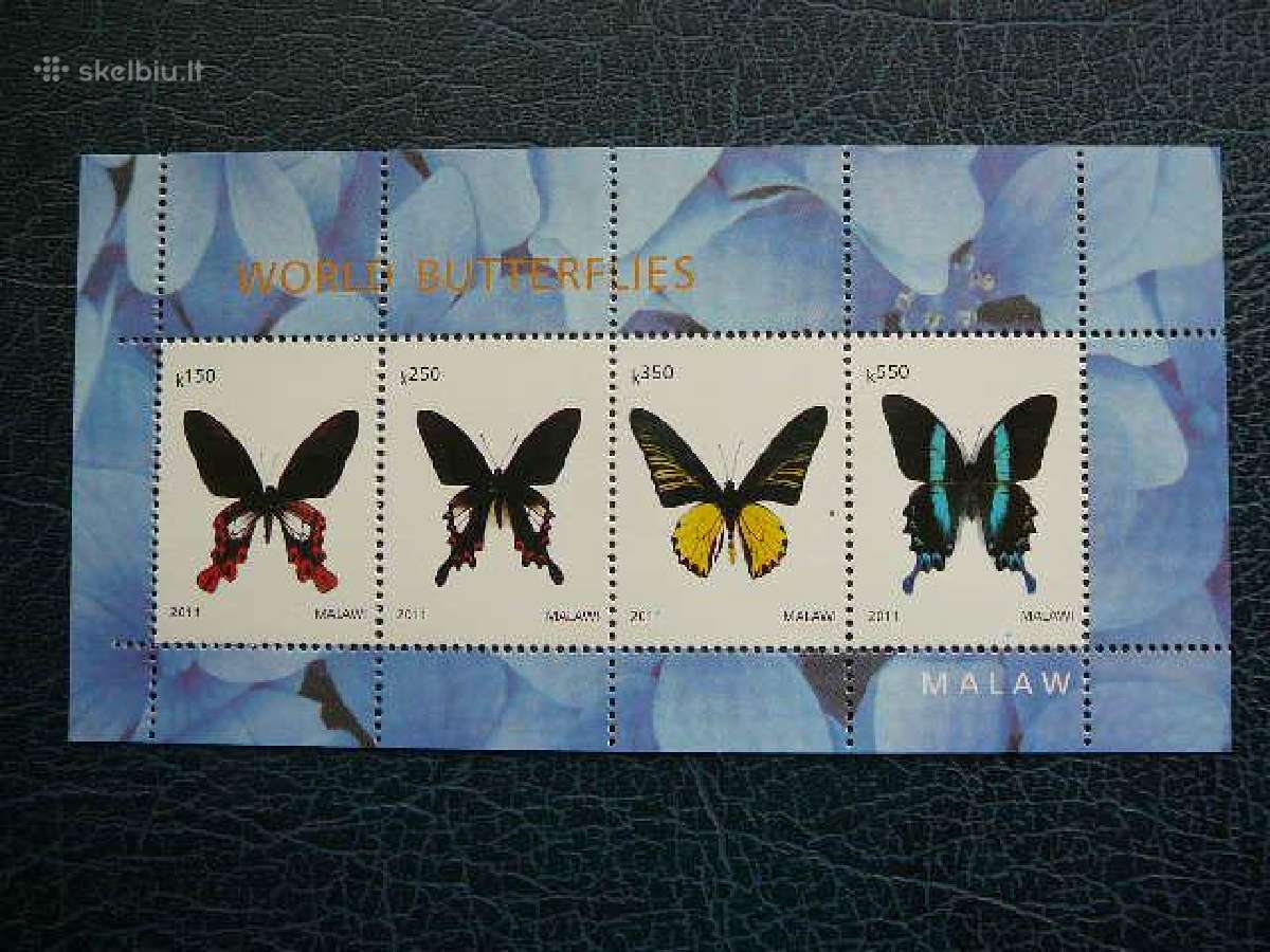 Drugeliai 2011 svarus ch016