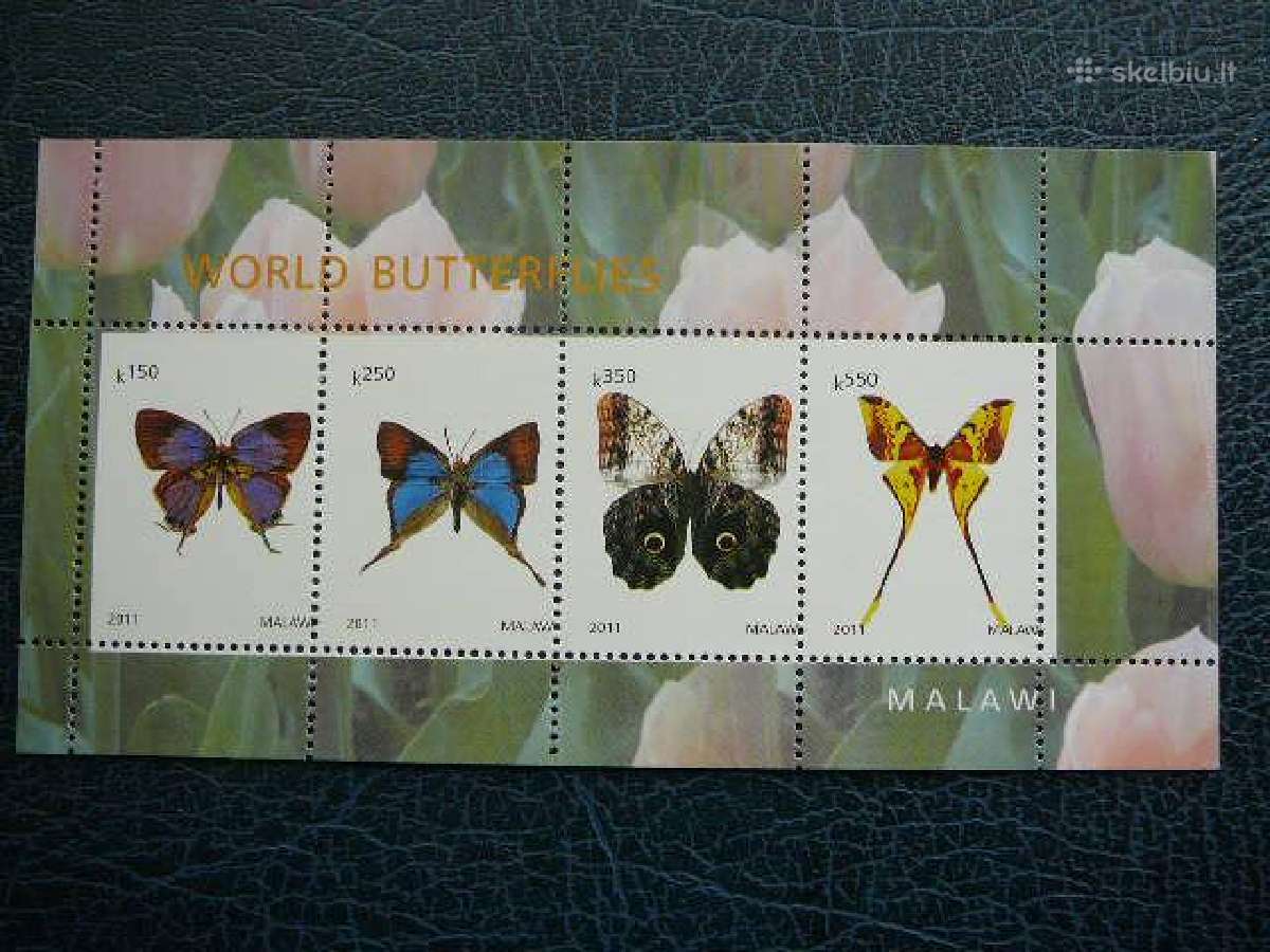 Drugeliai 2011 svarus ch017
