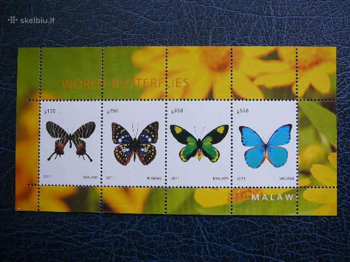 Drugeliai 2011 svarus ch021