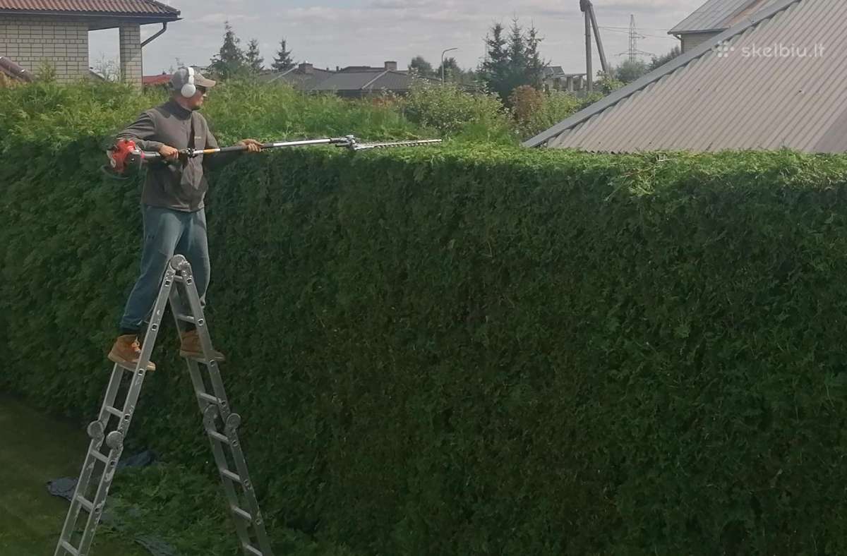 Žolės pjovimas, Gyvatvorių genėjimas - nuotraukos Nr. 14