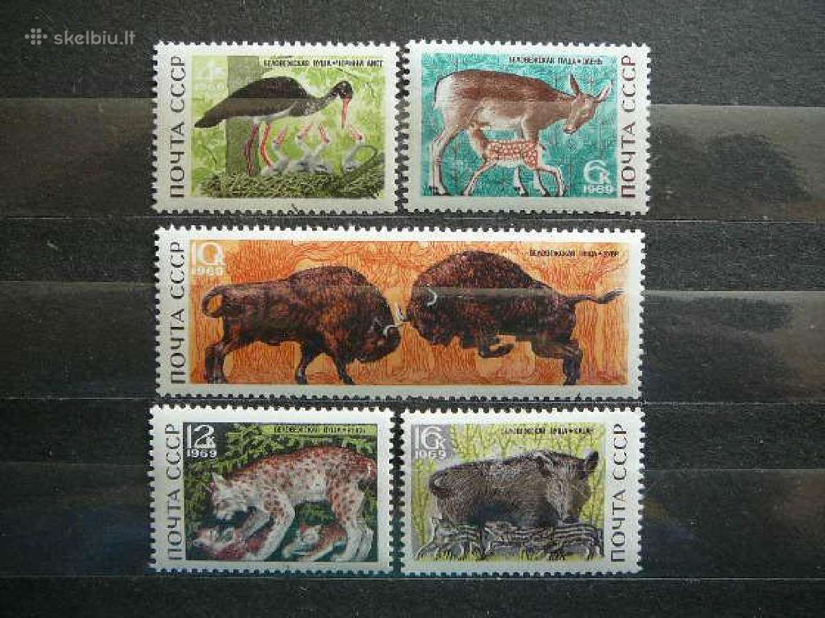 Ssr 1969 Zverys svarus s3667
