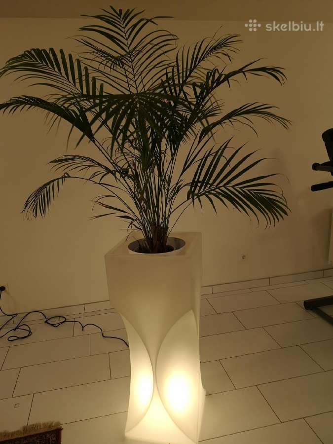 Lauko dekoratyvine lempą