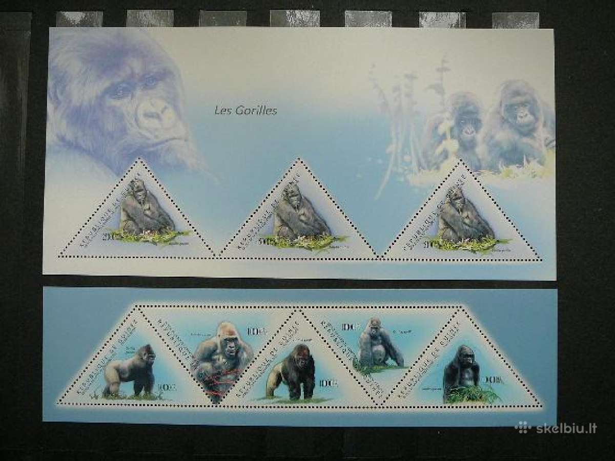 Bezdziones Gvineja 2011 Mnh vgv197