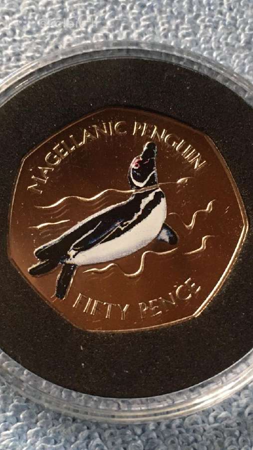 Moneta Falkland isl. 2017m. 50 pensu, cu-ni