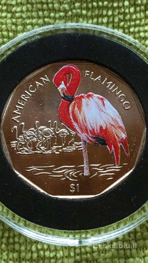 Moneta B. Virgin isl. 2019m. 1 doleris, cu-ni