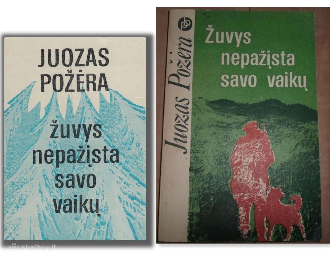 Knygos apie medžioklę, žvėris, gamtą, mišką,grybus - nuotraukos Nr. 3