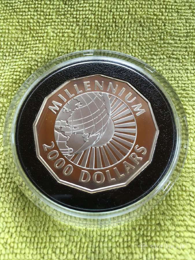 Moneta Guyana 2000m. Sidabras