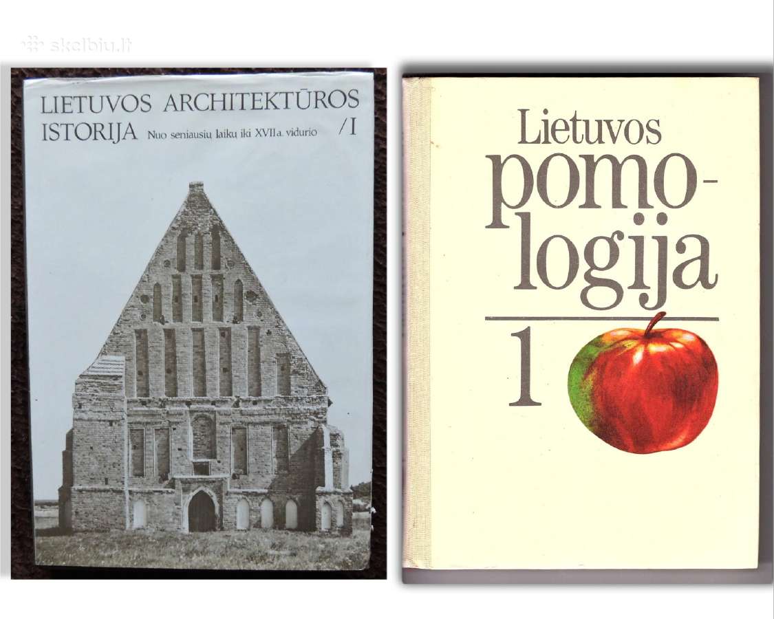 Lietuvos Architektūros Filosofijos Pomologija - nuotraukos Nr. 2