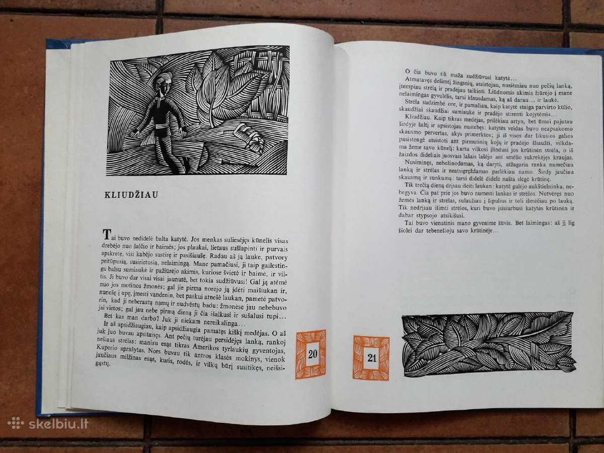 Jonas Biliūnas "Laimės žiburys" 1976 metai - nuotraukos Nr. 3