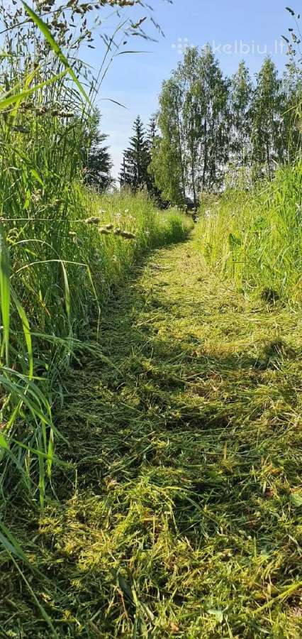 Žolės pjovimas/kelmu nufrezavimas ir kiti darbai - nuotraukos Nr. 12