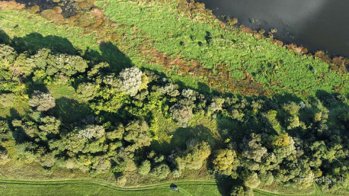 Sklypas ant Nemuno kranto - nuotraukos Nr. 10
