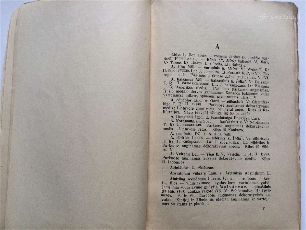 Parduodu 1938 m. Lietuvišką Botanikos Žodyną - nuotraukos Nr. 5