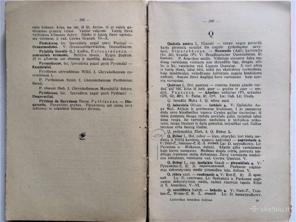 Parduodu 1938 m. Lietuvišką Botanikos Žodyną - nuotraukos Nr. 6