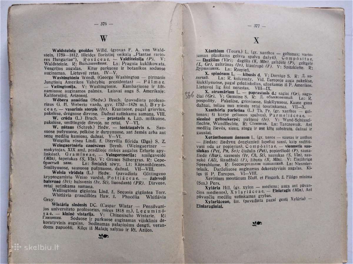 Parduodu 1938 m. Lietuvišką Botanikos Žodyną - nuotraukos Nr. 7