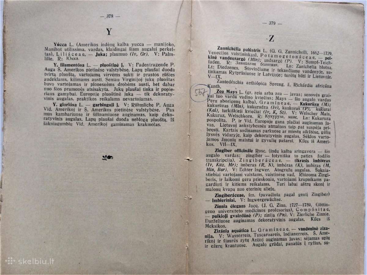 Parduodu 1938 m. Lietuvišką Botanikos Žodyną - nuotraukos Nr. 8