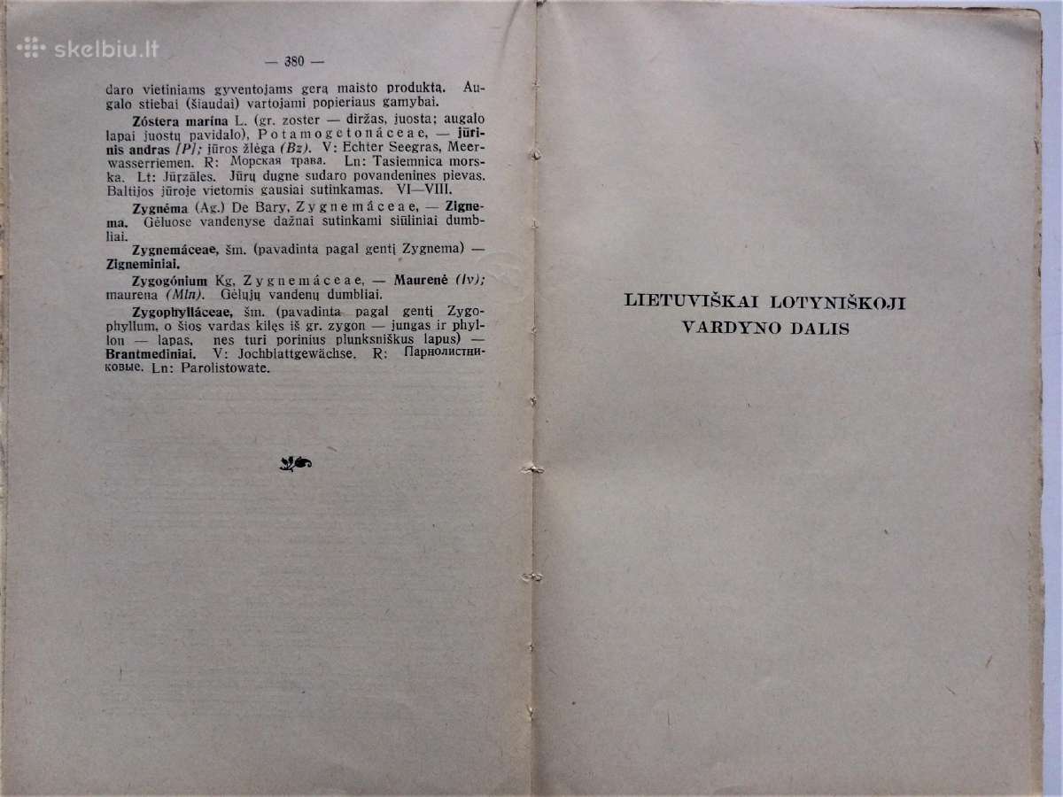 Parduodu 1938 m. Lietuvišką Botanikos Žodyną - nuotraukos Nr. 9