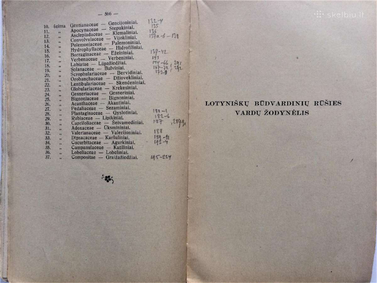 Parduodu 1938 m. Lietuvišką Botanikos Žodyną - nuotraukos Nr. 11