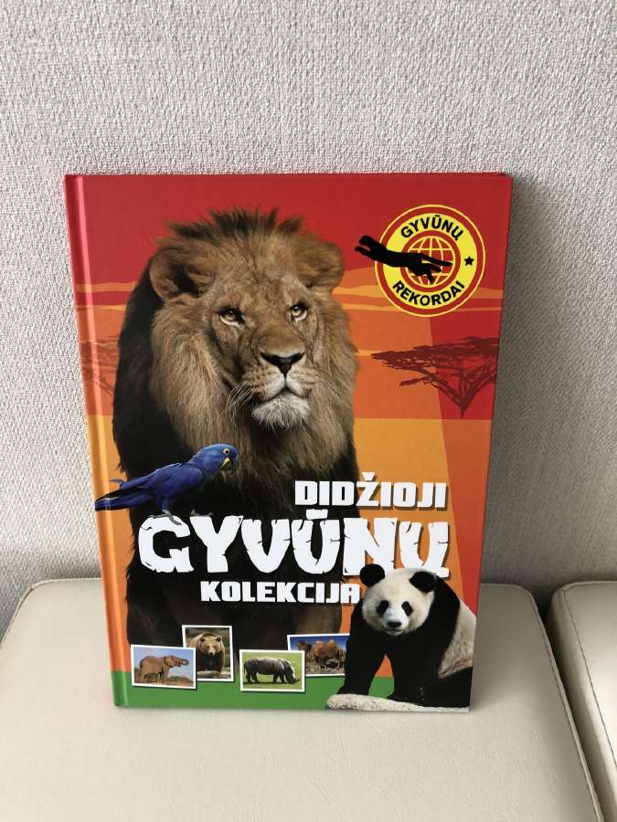 Knyga