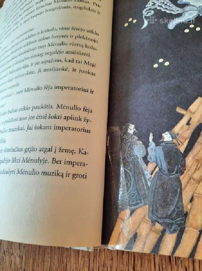 Mėnulio fėjos šypsena - nuotraukos Nr. 14