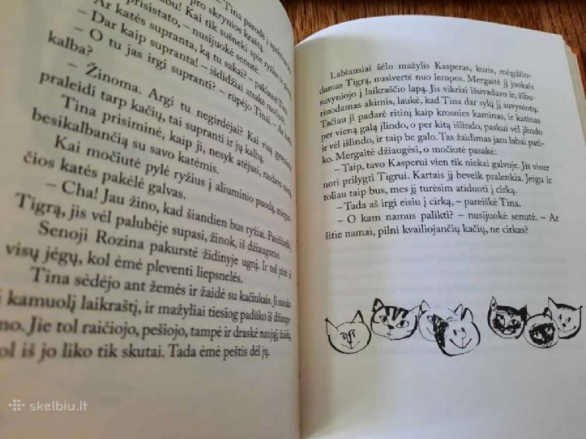 Katinas Kasperas - nuotraukos Nr. 6