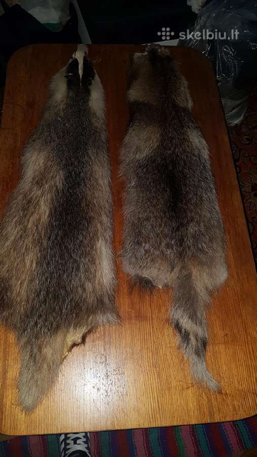 Trofejai - nuotraukos Nr. 2