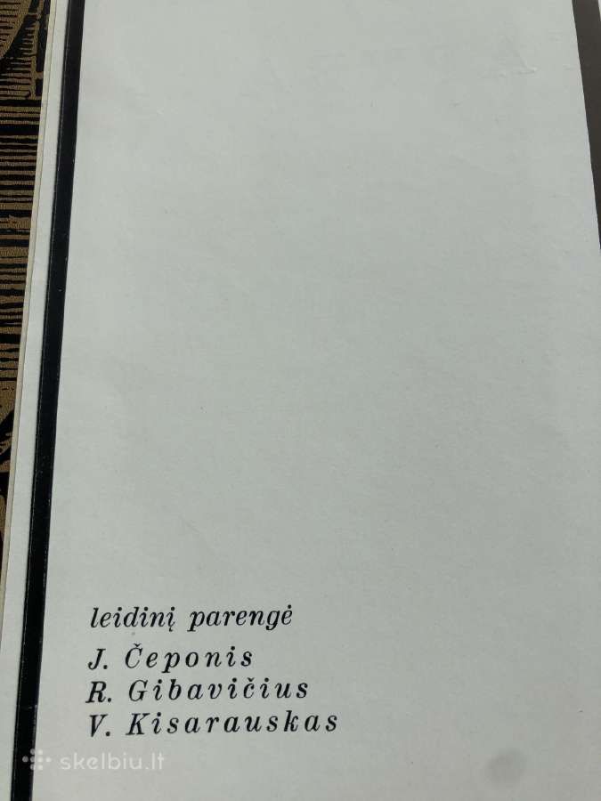 Grafikos tapybos darbu albumas - nuotraukos Nr. 11