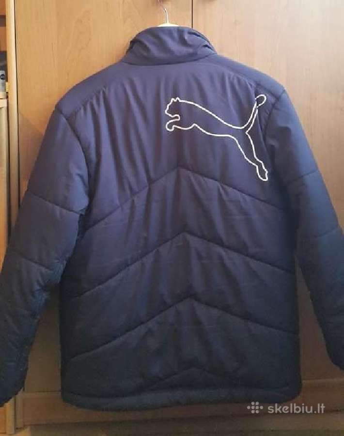 Puma ziemine striuke - nuotraukos Nr. 2