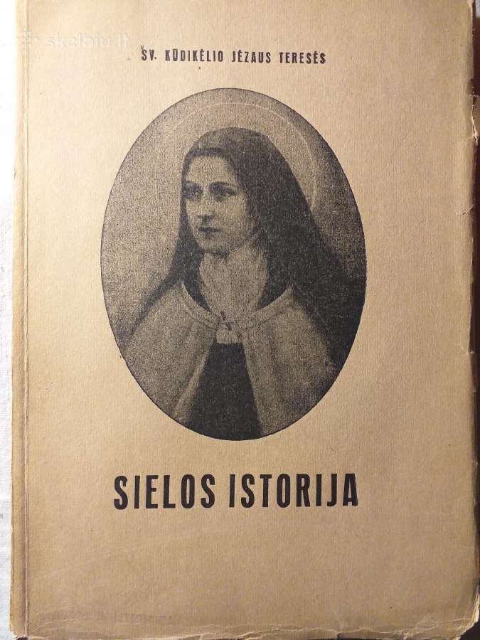 Sielos istorija (1931)