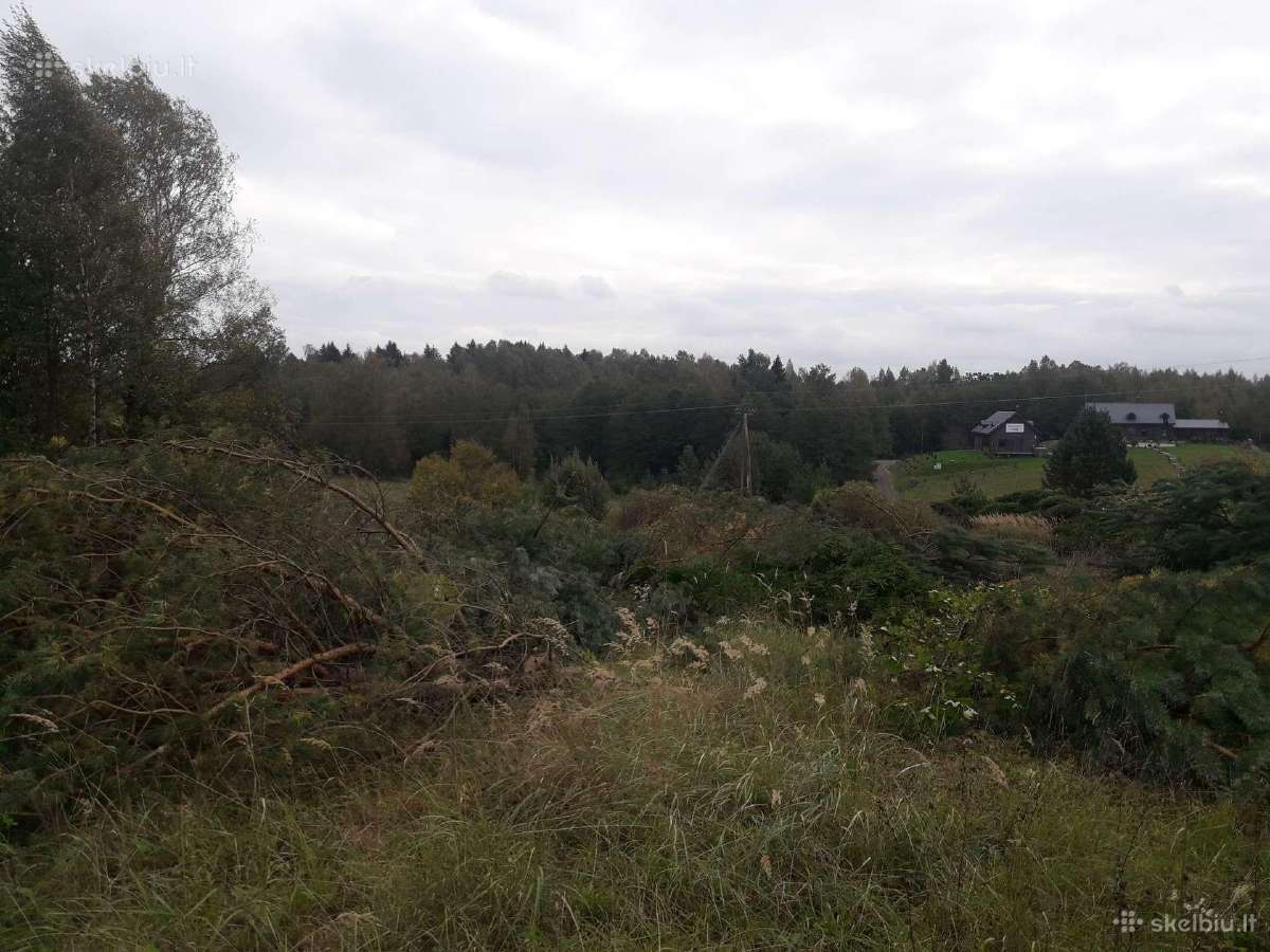 Apleistų sklypų tvarkymas.sodo sklypų valymas - nuotraukos Nr. 6