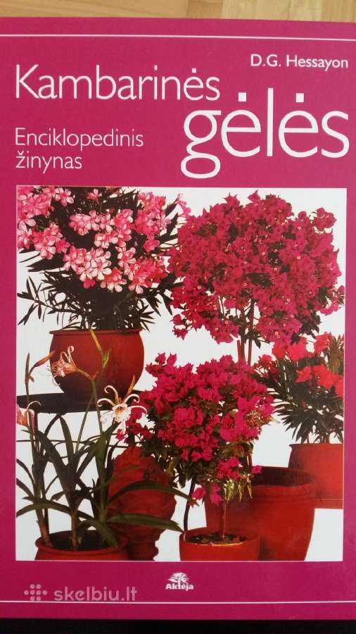 Knyga 'Kambarines geles'