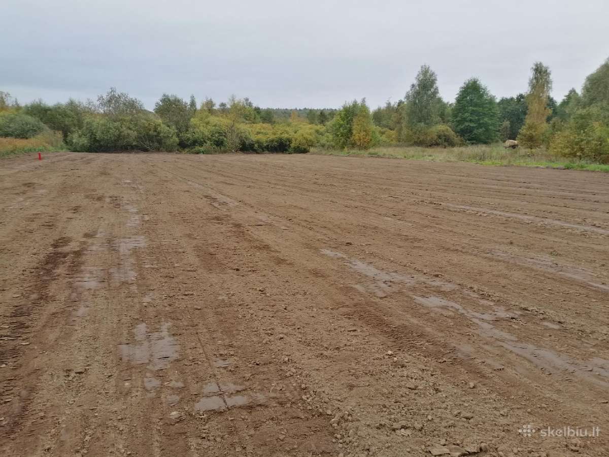Aplinkos tvarkimo darbai - nuotraukos Nr. 8