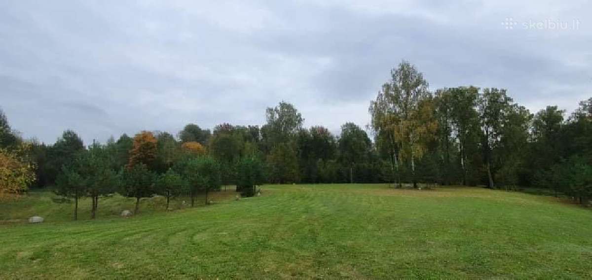 Žolės pjovimas/kelmu nufrezavimas ir kiti darbai - nuotraukos Nr. 16