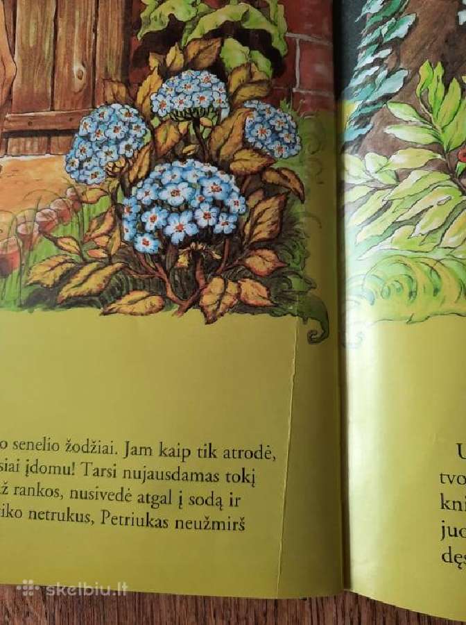 Pasakų šaly, nykštukų karalystėj (Anne Suess) - nuotraukos Nr. 7