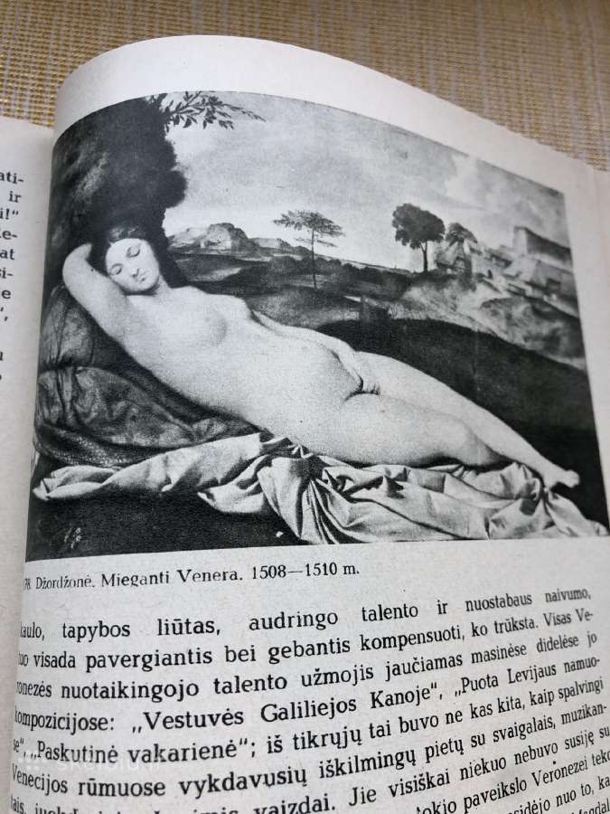 Dailes istorija - nuotraukos Nr. 12