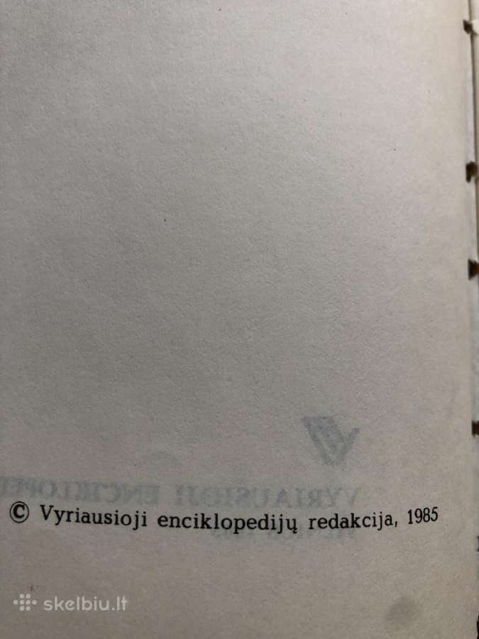 Tarptiniu žodžiu žodynas - nuotraukos Nr. 2