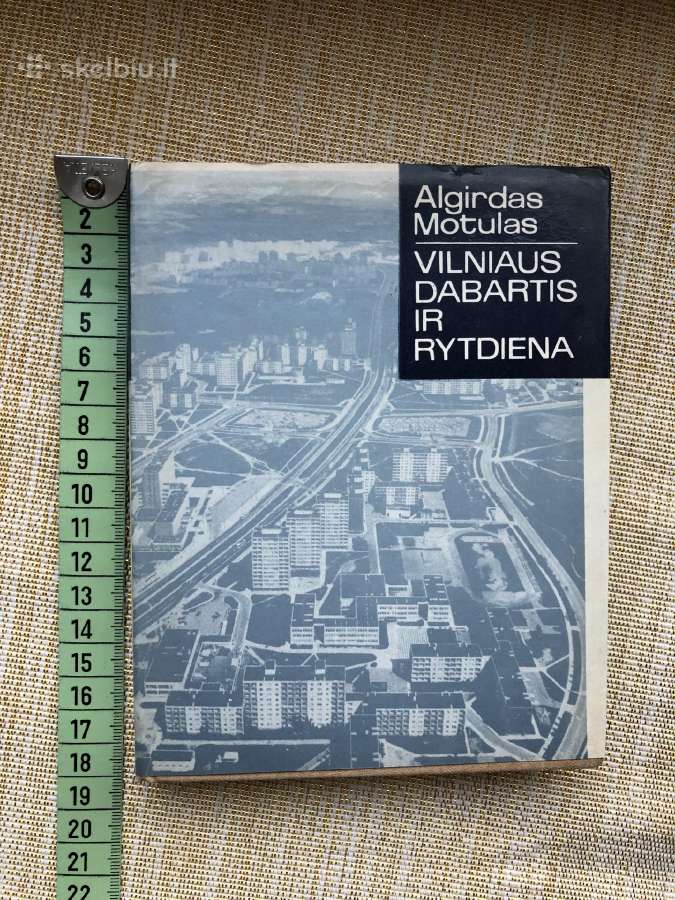Vilniaus dabartis ir rytdiena