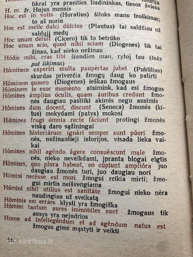 Lotyniški posakiai ir sentencijos - nuotraukos Nr. 4