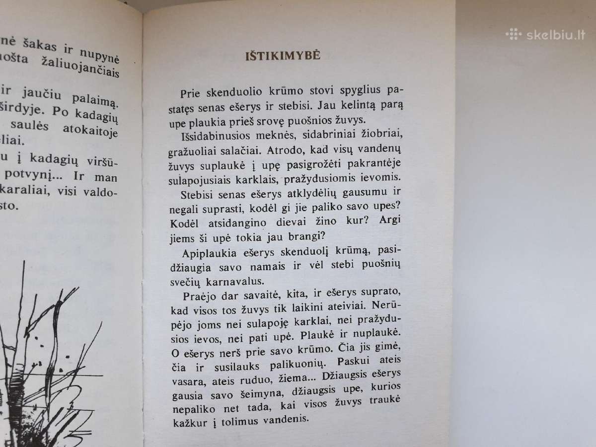 Meniškos miniatiūros apie žūklę ir gamtą - nuotraukos Nr. 4