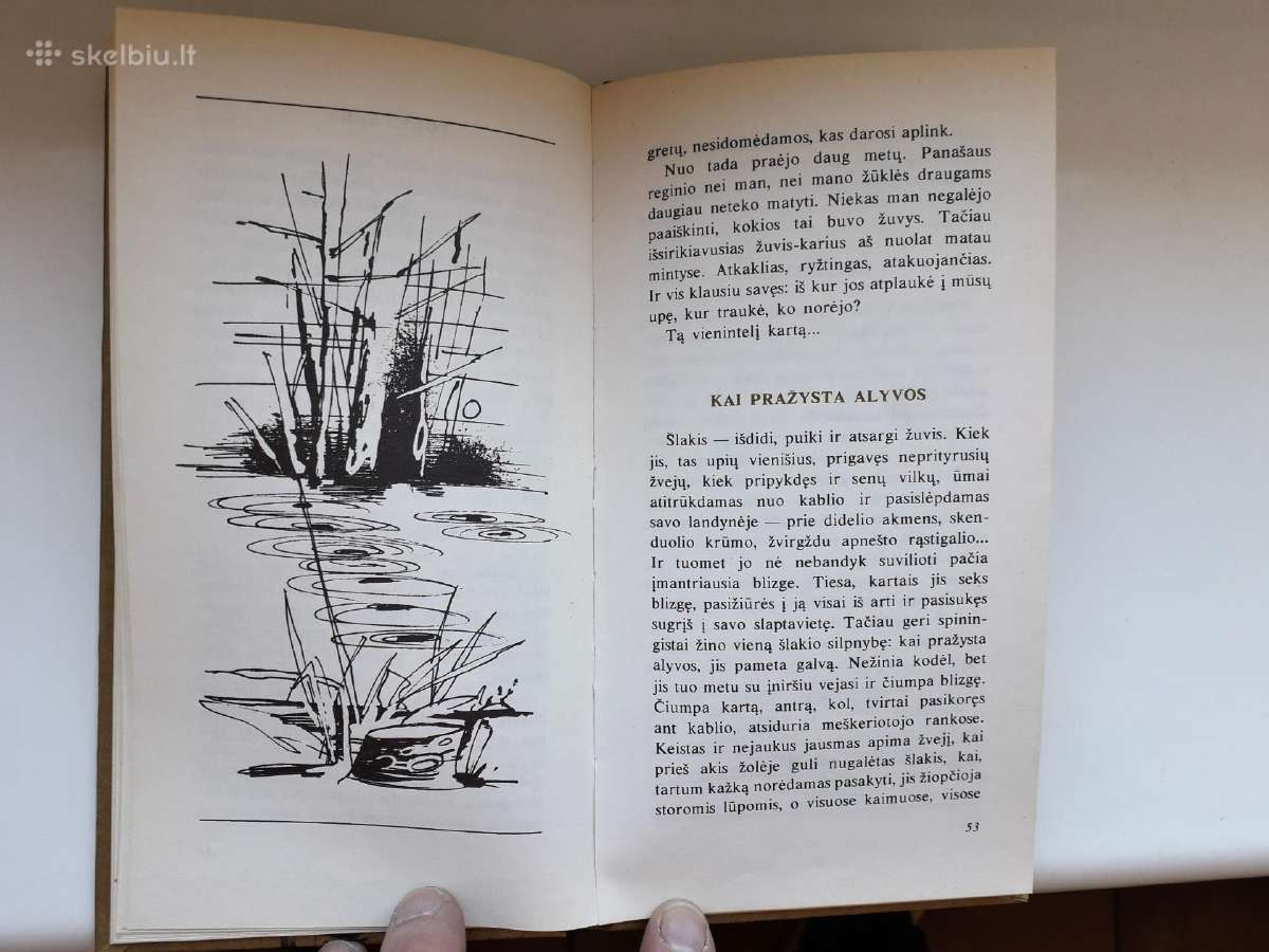 Meniškos miniatiūros apie žūklę ir gamtą - nuotraukos Nr. 5