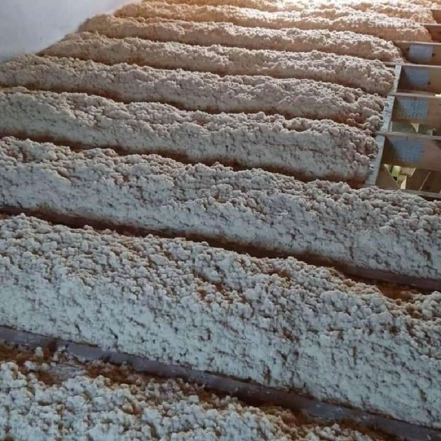 Įpučiama biri medžio vata Steico Zell - nuotraukos Nr. 8