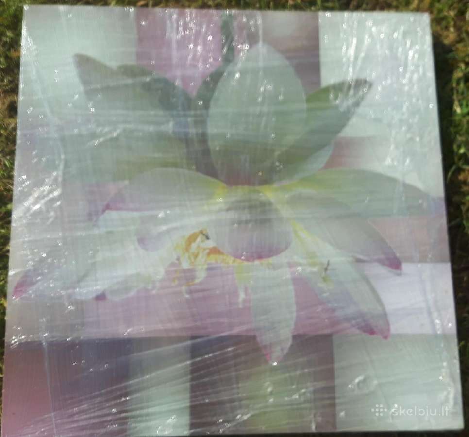 Paveikslas Orchidėja 90x90cm