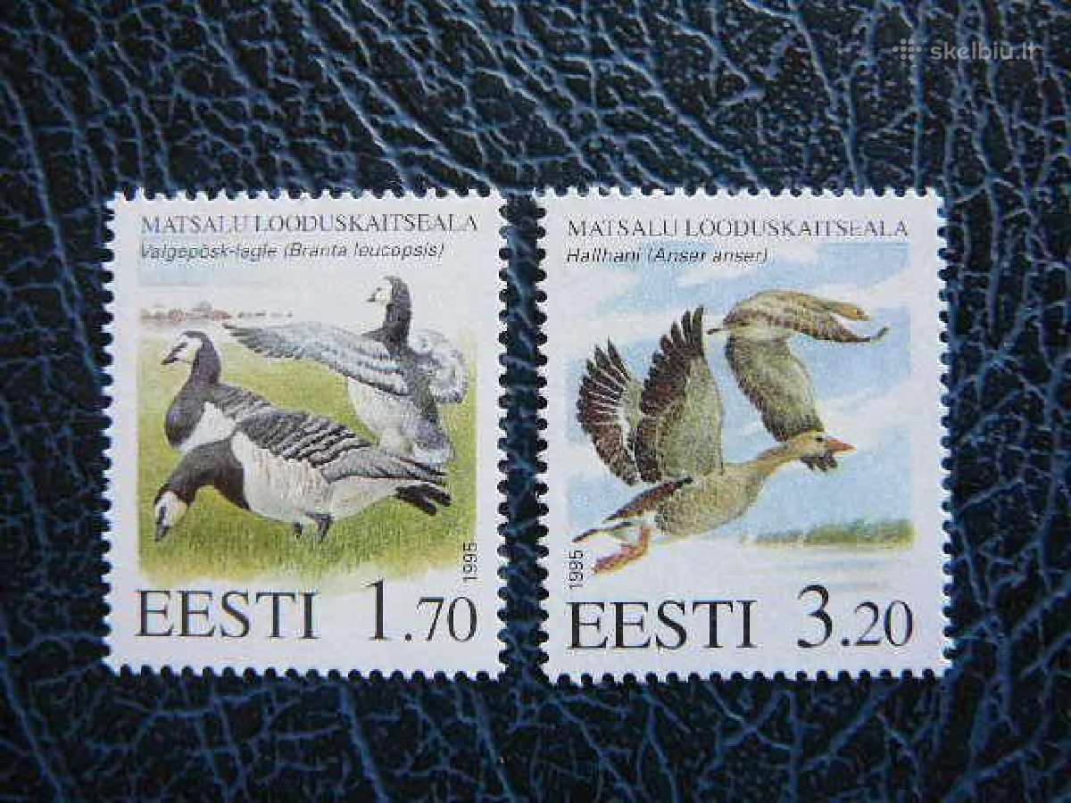 Antys Estija 1995 svarus es245s